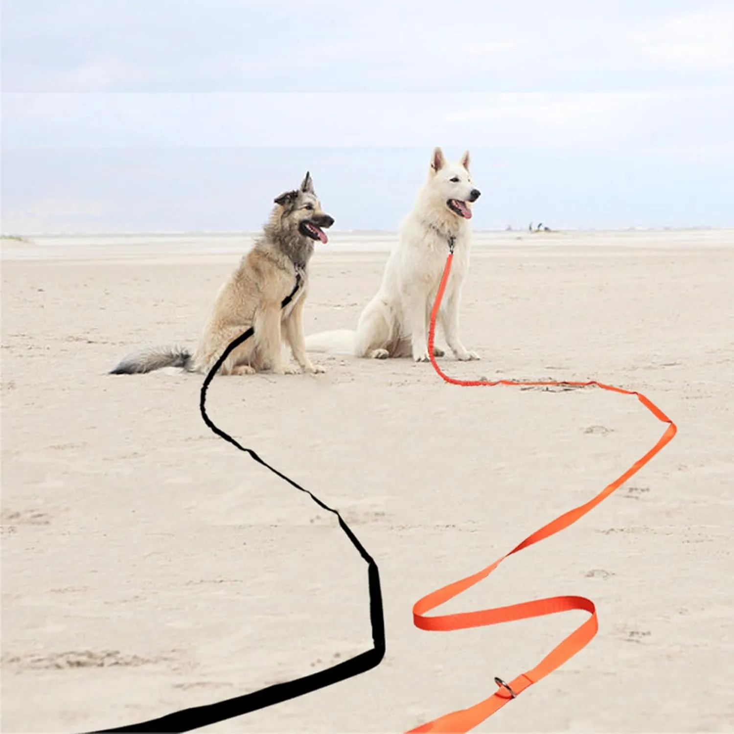2 Handles Long Dog Leash, 12/20/30/50ft Long Bungee Dog Leashes with Traffic Handle, Shock-Absorbing Elastic Buffer, Double Handles Training Lead (orange-30ft)