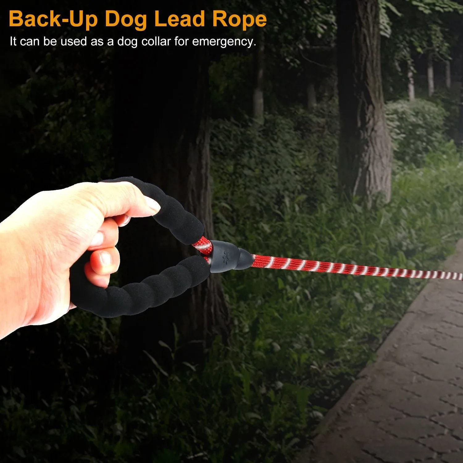 5 Ft. Dog Leash with Foam Handle