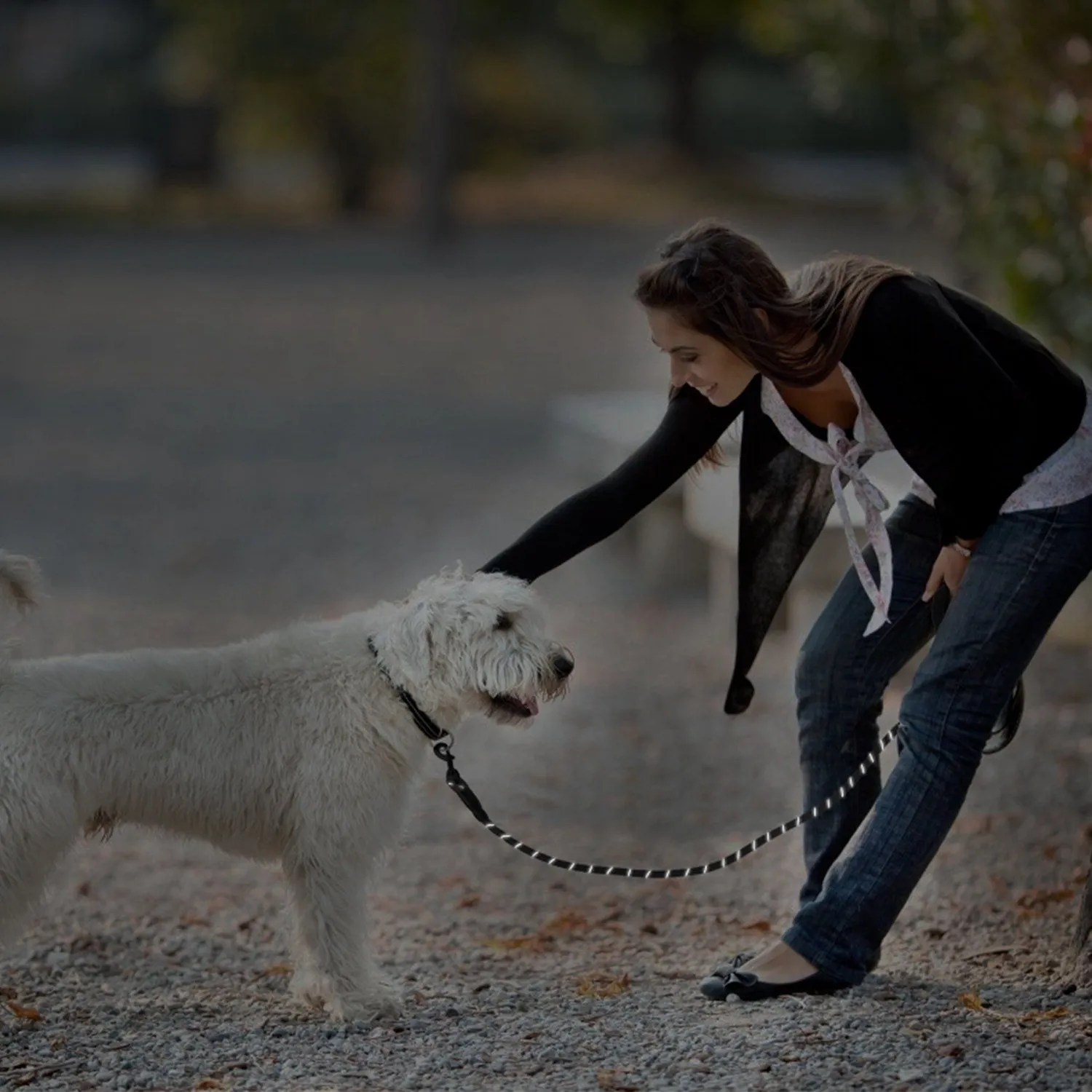 5 Ft. Dog Leash with Foam Handle