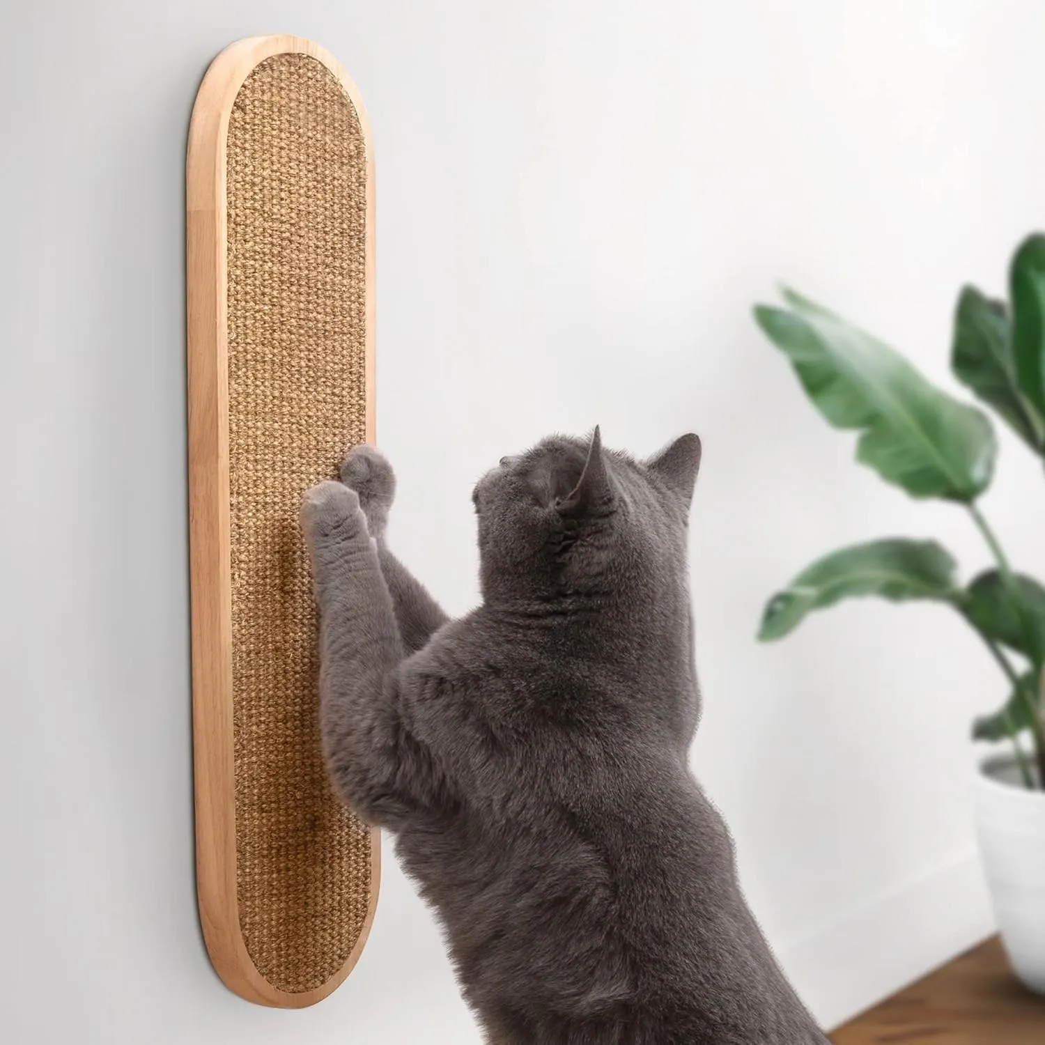 7 Ruby Road Wall Mounted Cat Scratcher - Indoor Vertical Scratching Board for Cats - Scratch Pad Post - Wall Furniture