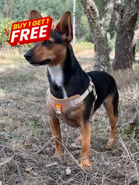BUY 1 GET 1 FREE: Cork Dog Harness & Leash Set for Small Dogs -Comfortable L-872