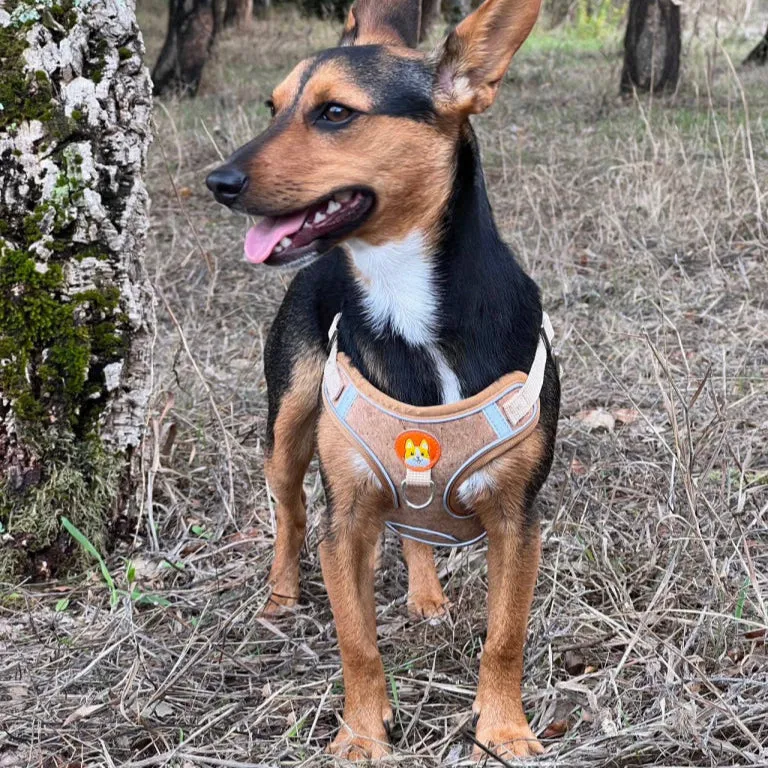 BUY 1 GET 1 FREE: Cork Dog Harness & Leash Set for Small Dogs -Comfortable L-872