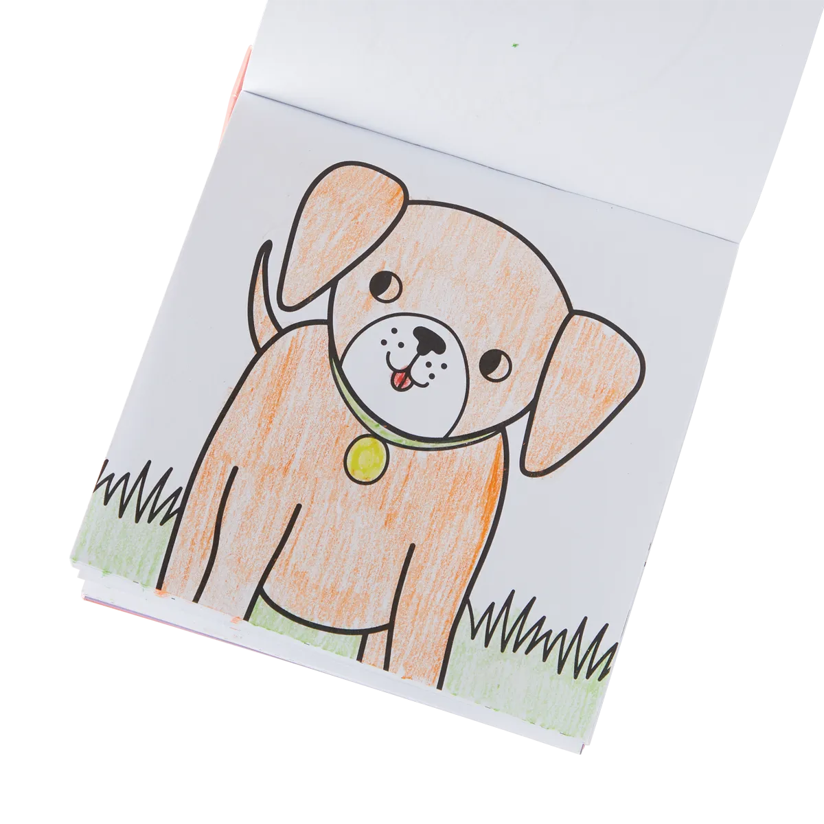 Carry Along! Coloring Book and Crayon Set - Pet Pals - Set of 9 Crayons