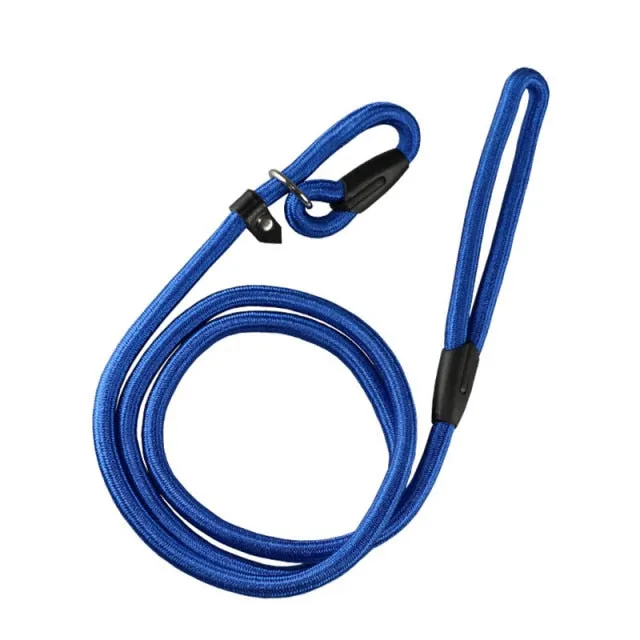Collar Leash for Training Puppy Walking