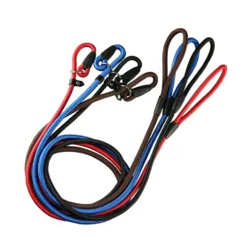 Collar Leash for Training Puppy Walking