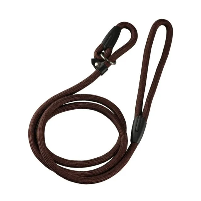 Collar Leash for Training Puppy Walking