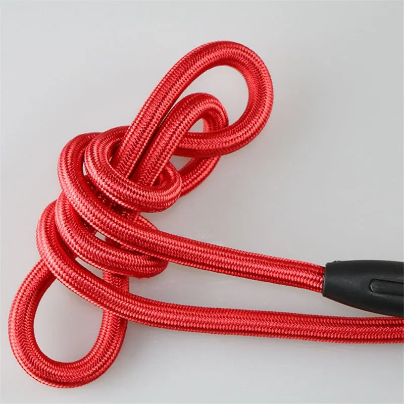 Collar Leash for Training Puppy Walking