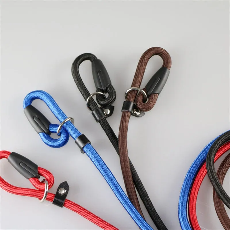 Collar Leash for Training Puppy Walking