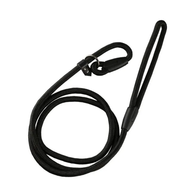 Collar Leash for Training Puppy Walking