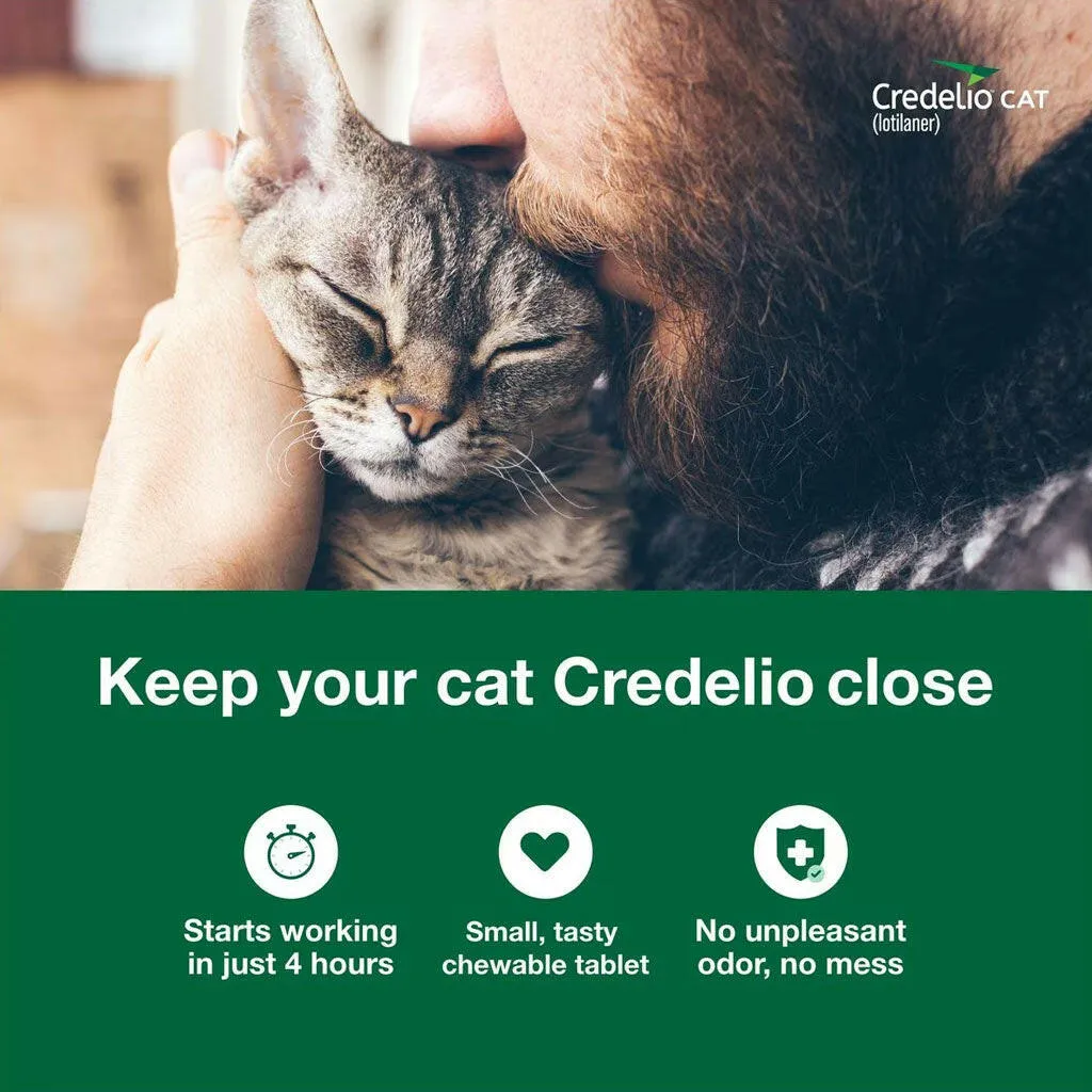 Credelio Chewable Tablets for Cats (Lotilaner), 4.1-17 lbs, (Teal Box)