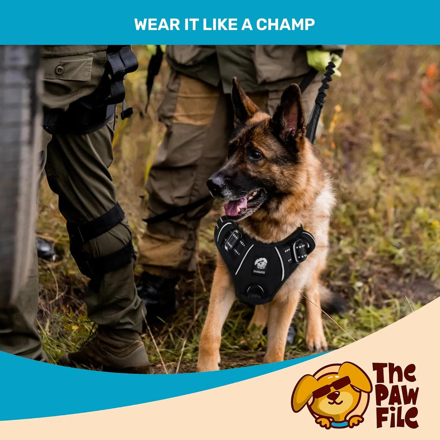 Dog Harness and Leash Set - No Pull Vest & Reflective Leash with Foam Handle, Adjustable Oxford Halter, For Walking & Training - Includes 150 Poop Bags & Bone-Shaped Dispenser - Black, XL