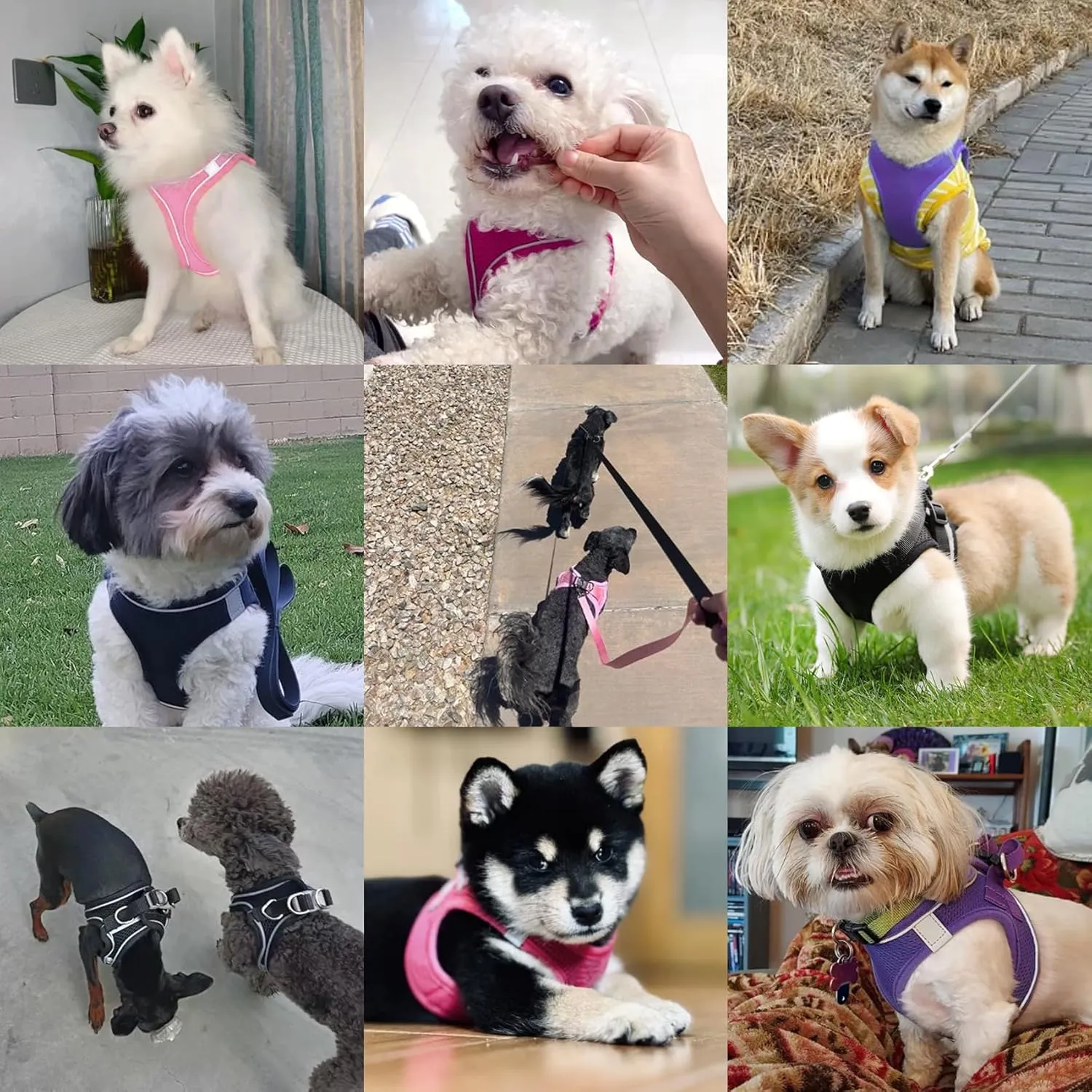 Dog Harness with Leash Set, No-Pull Step-in Reflective Pet Harness with 1 Leash Clips, Adjustable Soft Padded Easy Walk Dog Vest for Small Medium Large Dogs, Cats(Light Pink, Small)