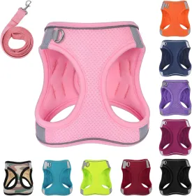 Dog Harness with Leash Set, No-Pull Step-in Reflective Pet Harness with 1 Leash Clips, Adjustable Soft Padded Easy Walk Dog Vest for Small Medium Large Dogs, Cats(Light Pink, Small)