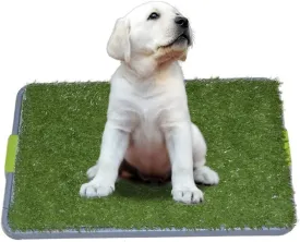 Dog Potty with Artificial Grass-Reusable 3-Layer Synthetic Training Tray That Acts Like a Dog Litterbox-Fake Grass That Dogs Prefer Over Dog Pee Pads or Puppy Pad