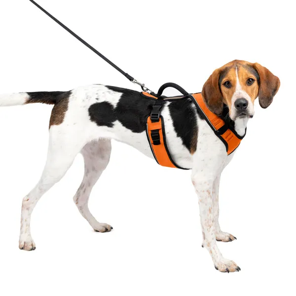 EasySport Harness