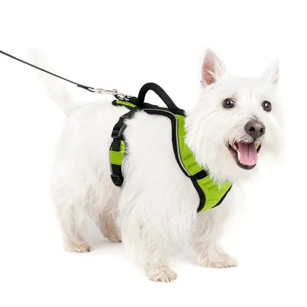 EasySport Harness