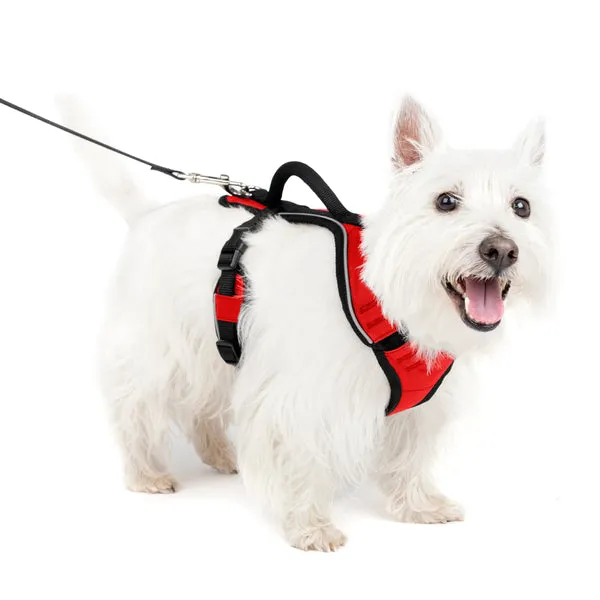 EasySport Harness