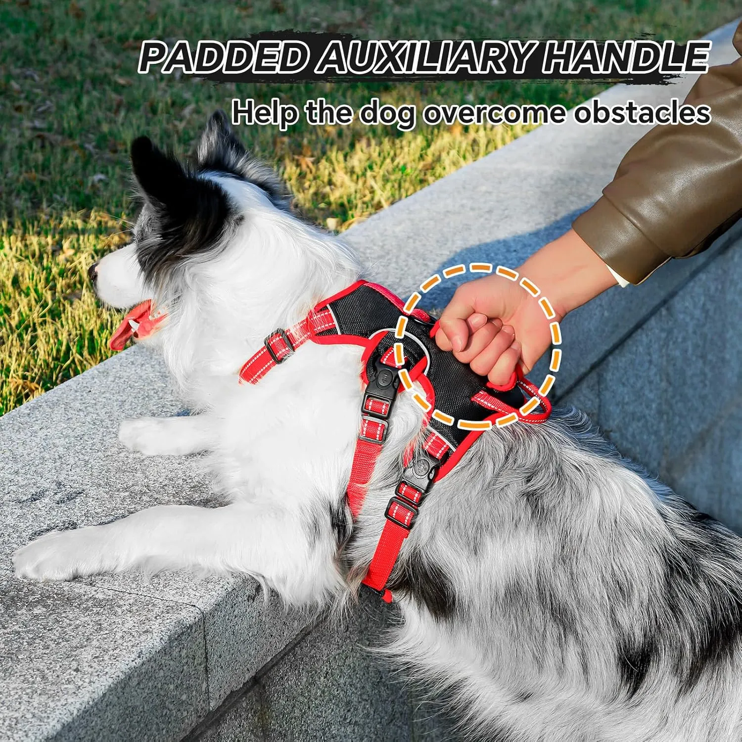Escape Proof Dog Harness Medium Sized Six Point Adjustable, Soft Padded Full Body No Pull Dog Harness and Leash Set, Reflective Dog Vest Harness with Handle, (Brown, Small)