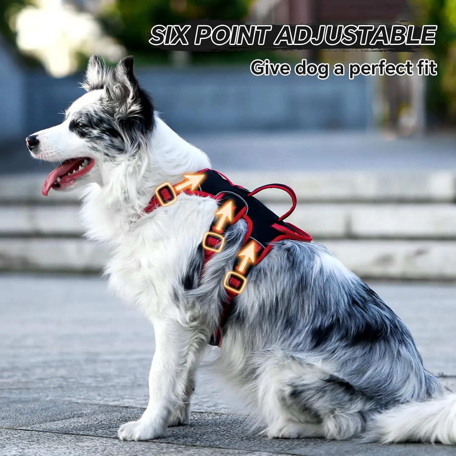 Escape Proof Dog Harness Medium Sized Six Point Adjustable, Soft Padded Full Body No Pull Dog Harness and Leash Set, Reflective Dog Vest Harness with Handle, (Brown, Small)