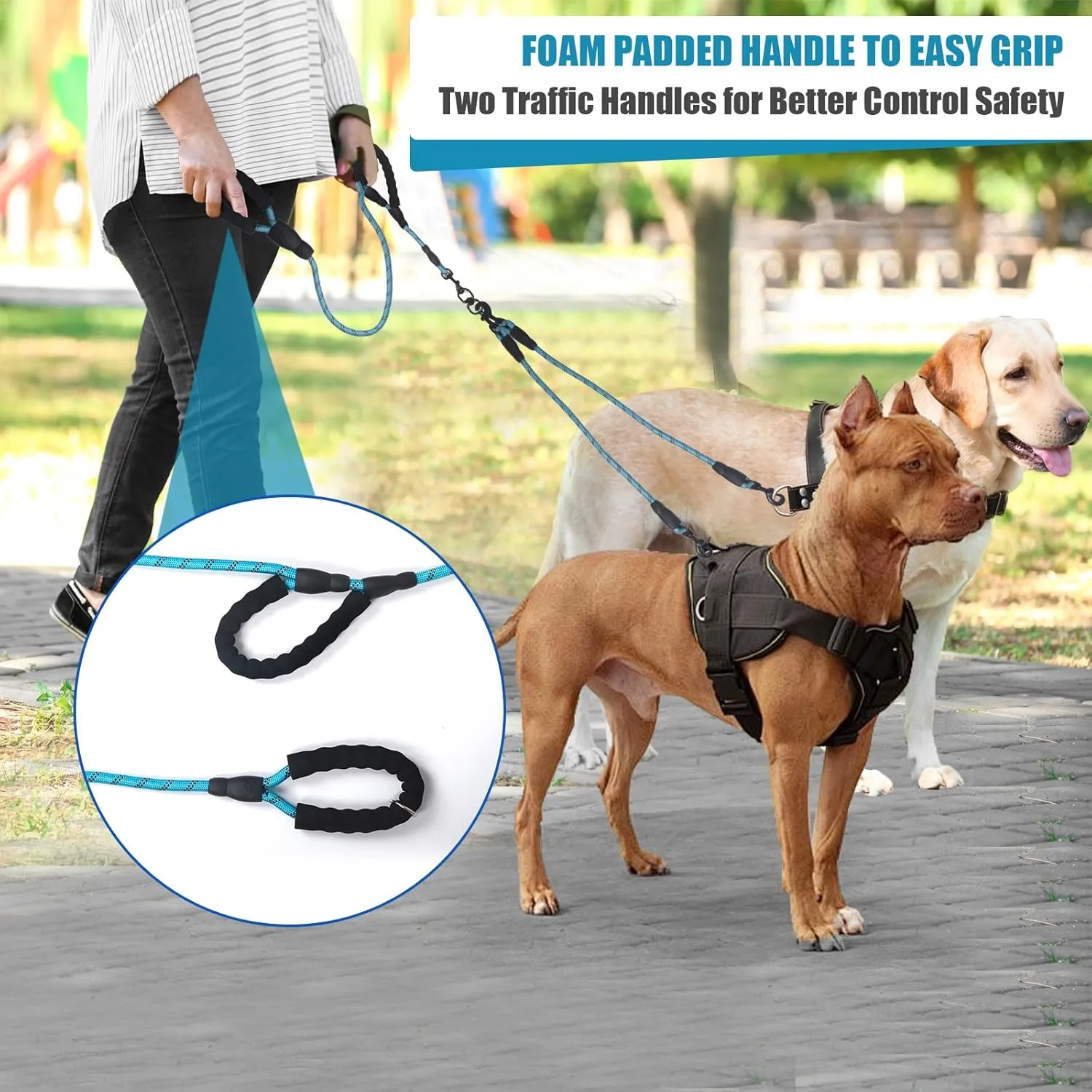 Exceptional 360 Anti-Tangle & No Pull Dual Dog Leash - Double Handle & Reflective for Small & Medium Dogs (Blue, 2 Way)