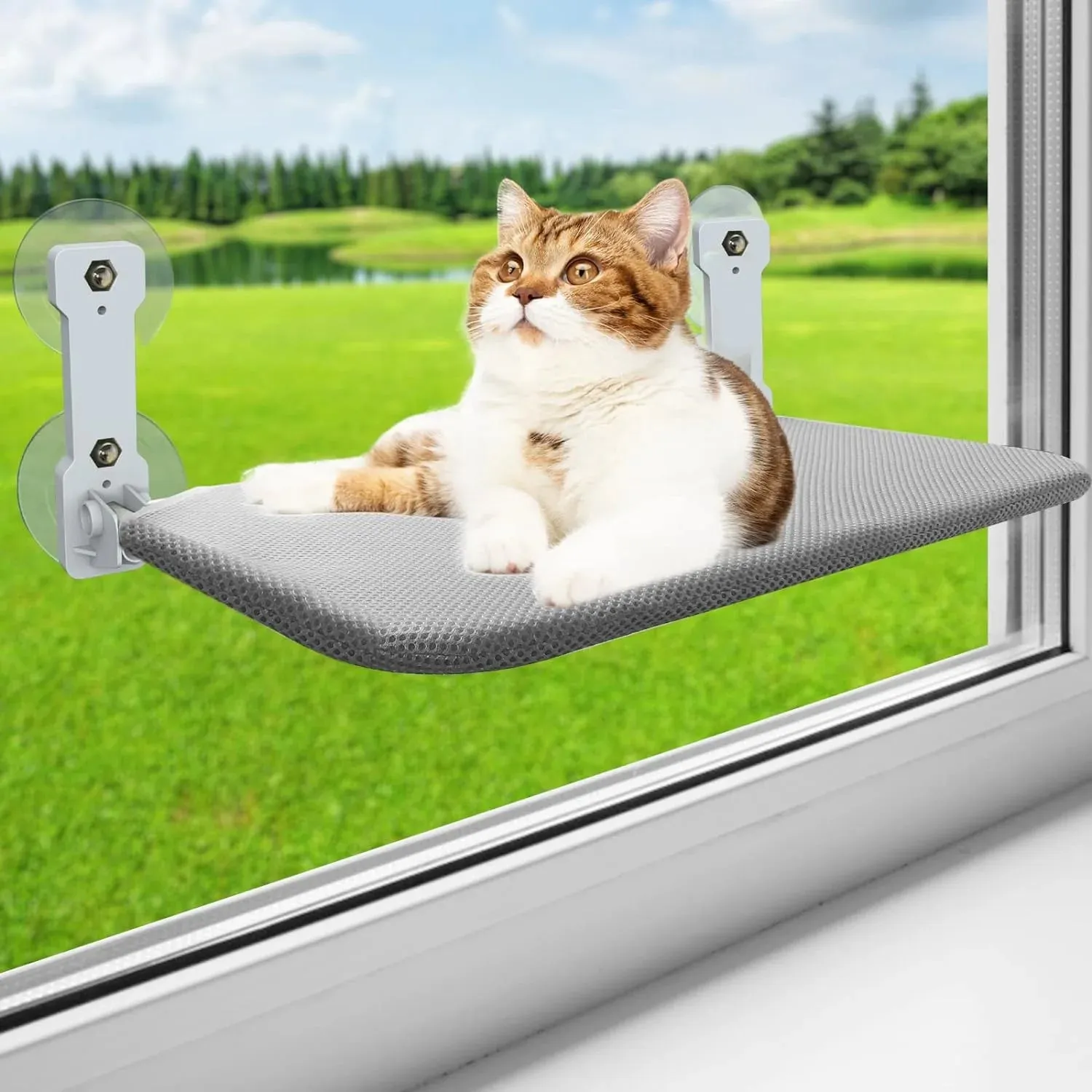 Foldable Pet Beds for Indoor Cat