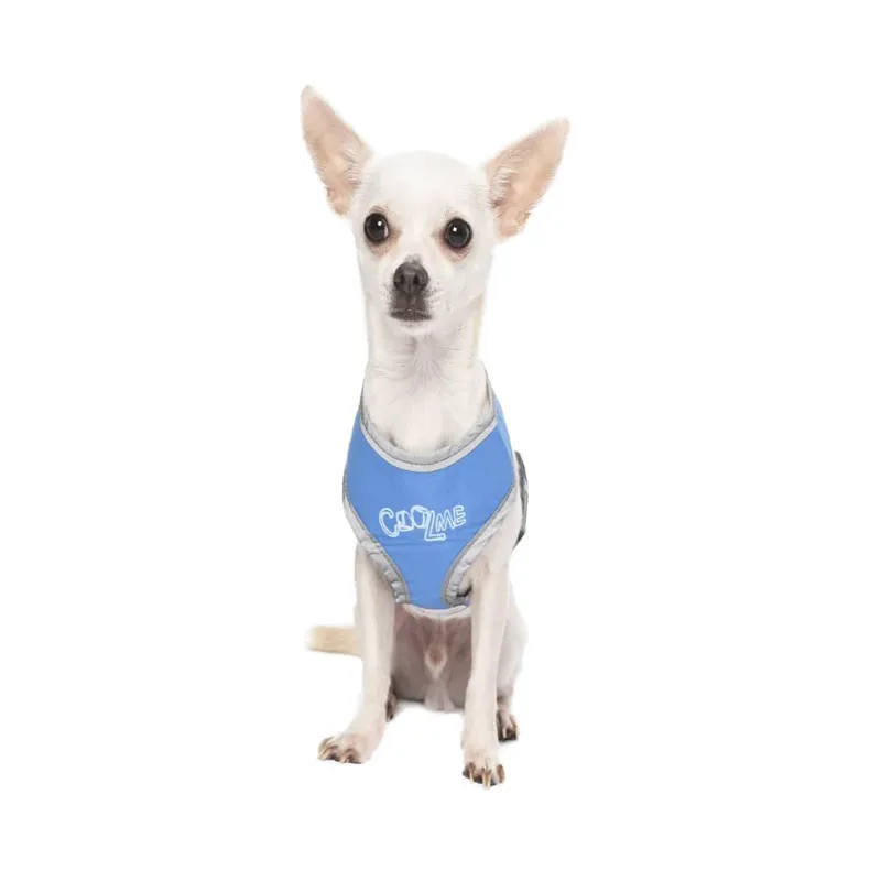 Freeze Ice-Padded Non-Pulling Dog Harness