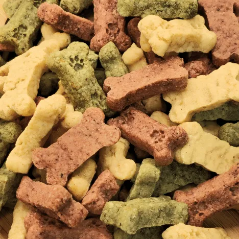 Frostbite Fruity Snacks Dog Treats From Glamorous Pups