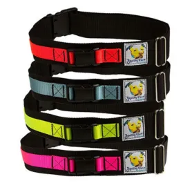 Hands-Free Leash Belt