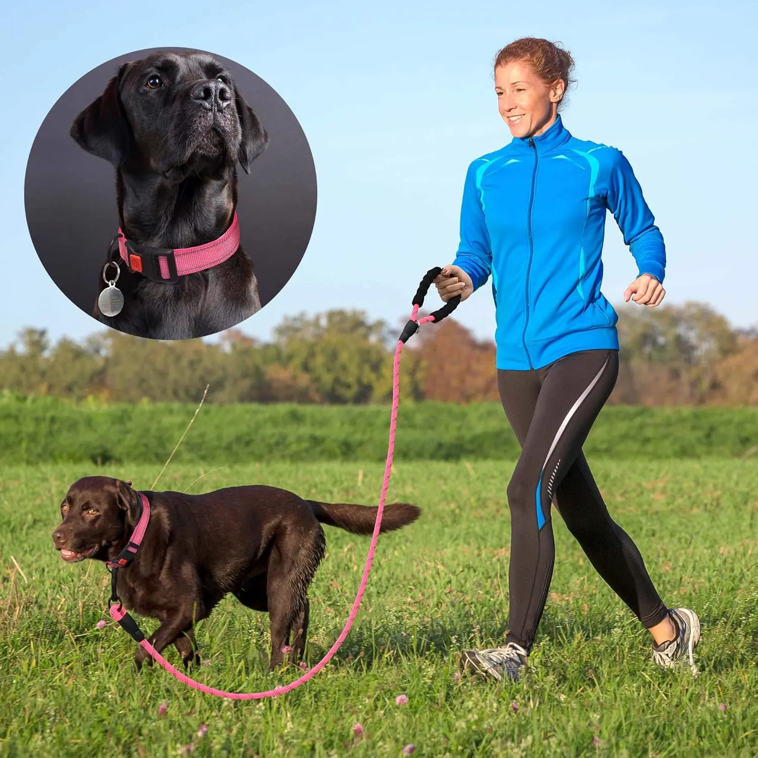 Heavy Duty Dog Leash - Comfortable Padded Handle, 5 ft Long - Dog Leashes for Small Medium Large Dogs (Leash Collar XS Neck 10.5"-13.5", Pink)
