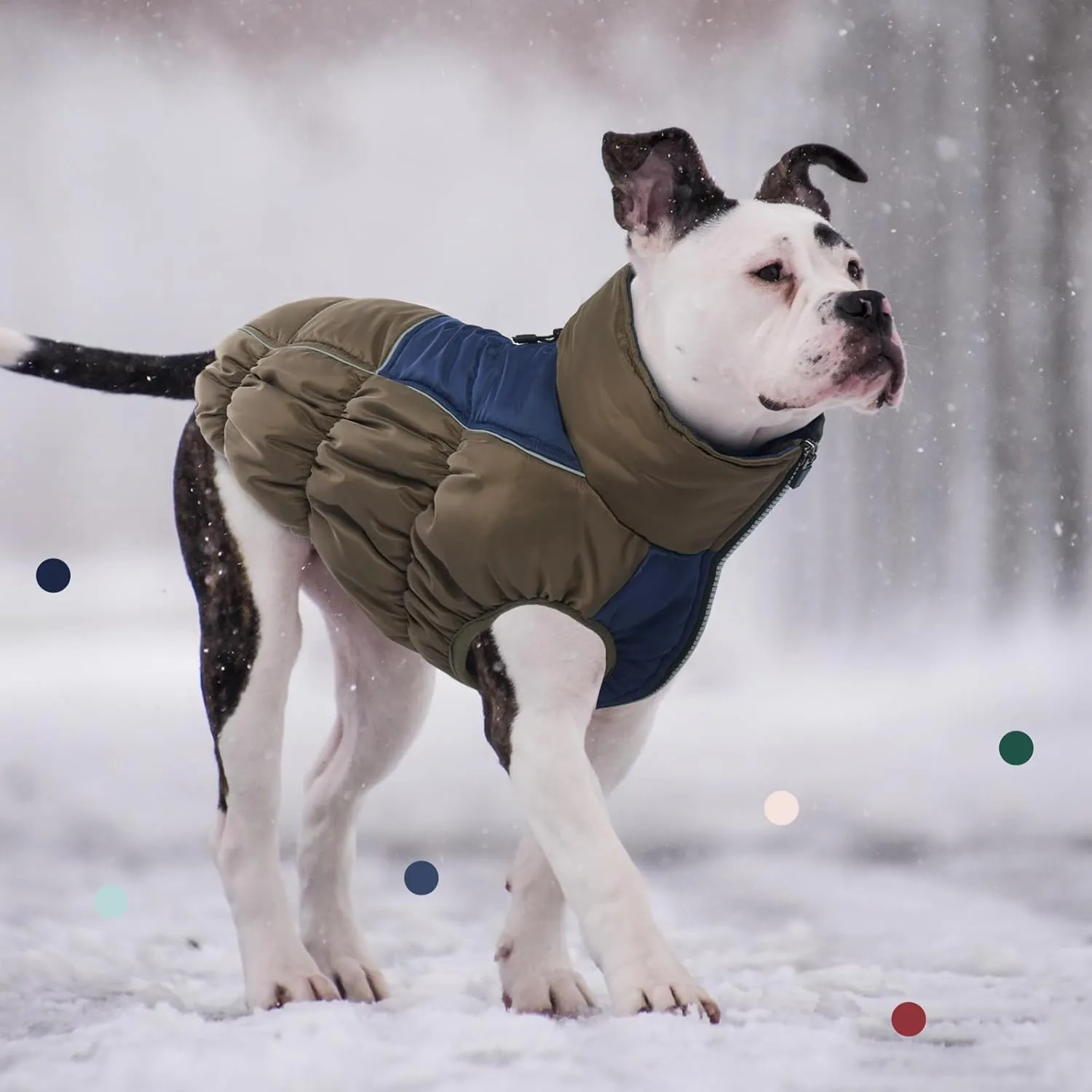 IECOii Medium Dog Coat - Waterproof, Fleece Lined, Reflective, Warm Winter Jacket