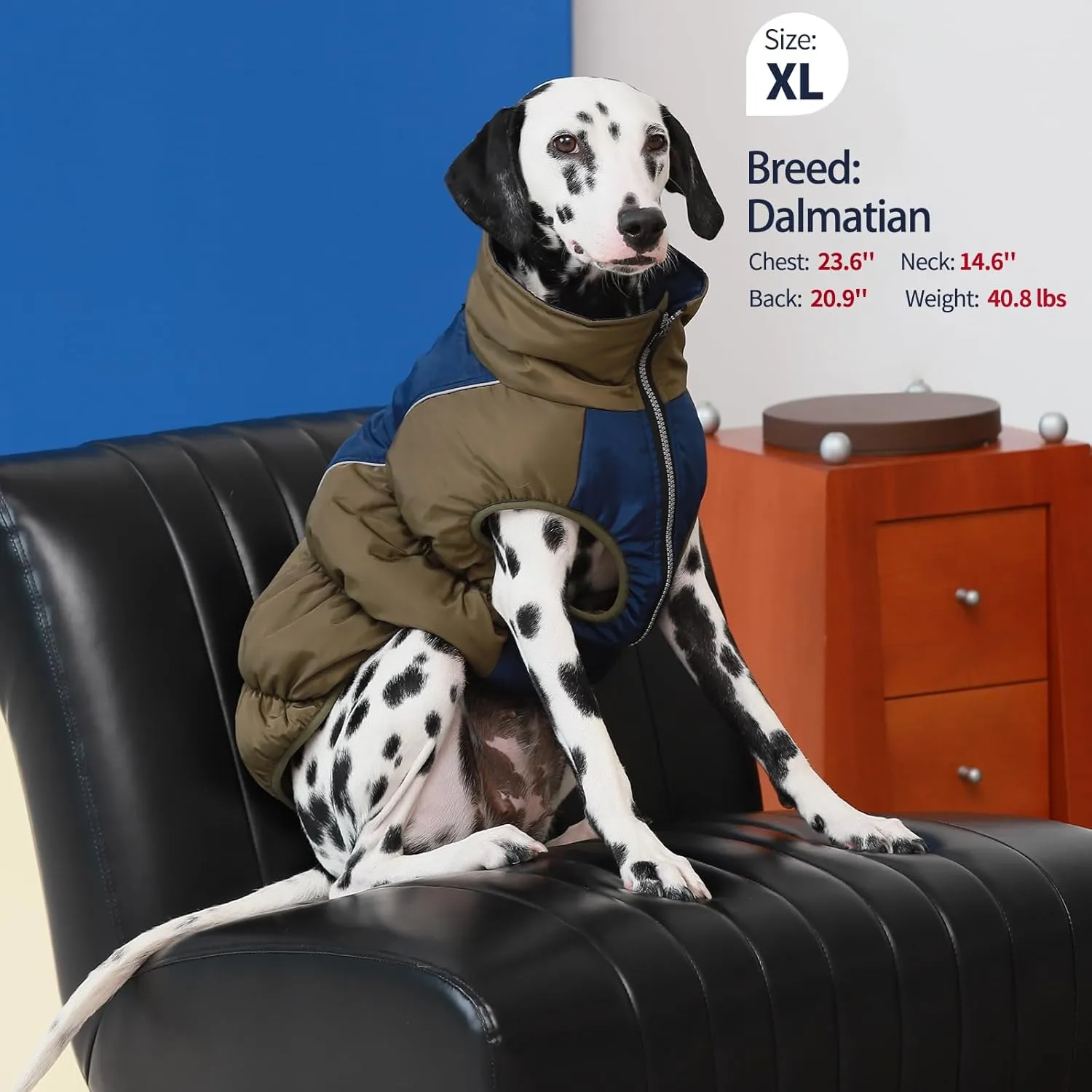 IECOii Medium Dog Coat - Waterproof, Fleece Lined, Reflective, Warm Winter Jacket
