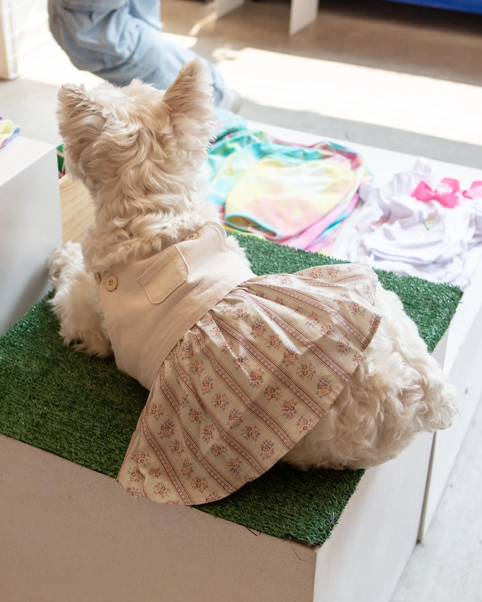 Japanese Denim Flower Dog Dress