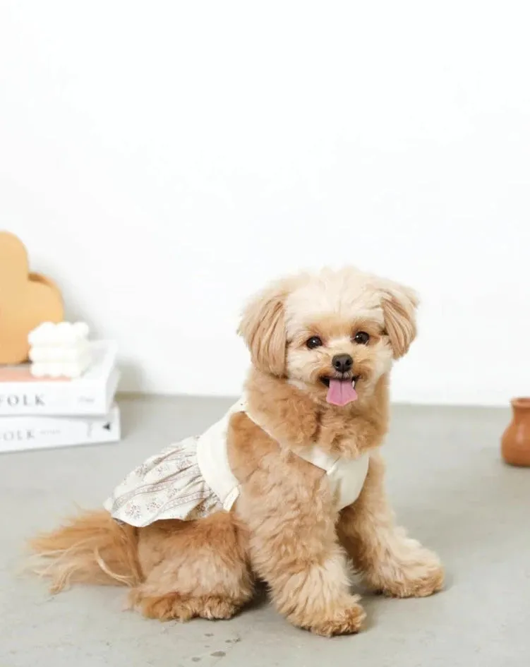 Japanese Denim Flower Dog Dress