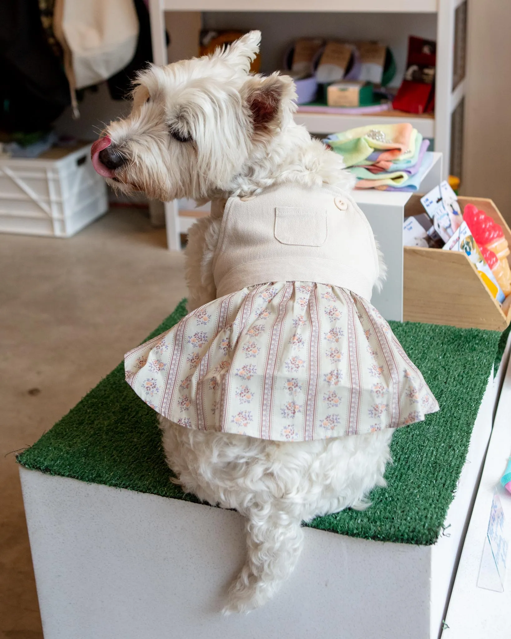 Japanese Denim Flower Dog Dress