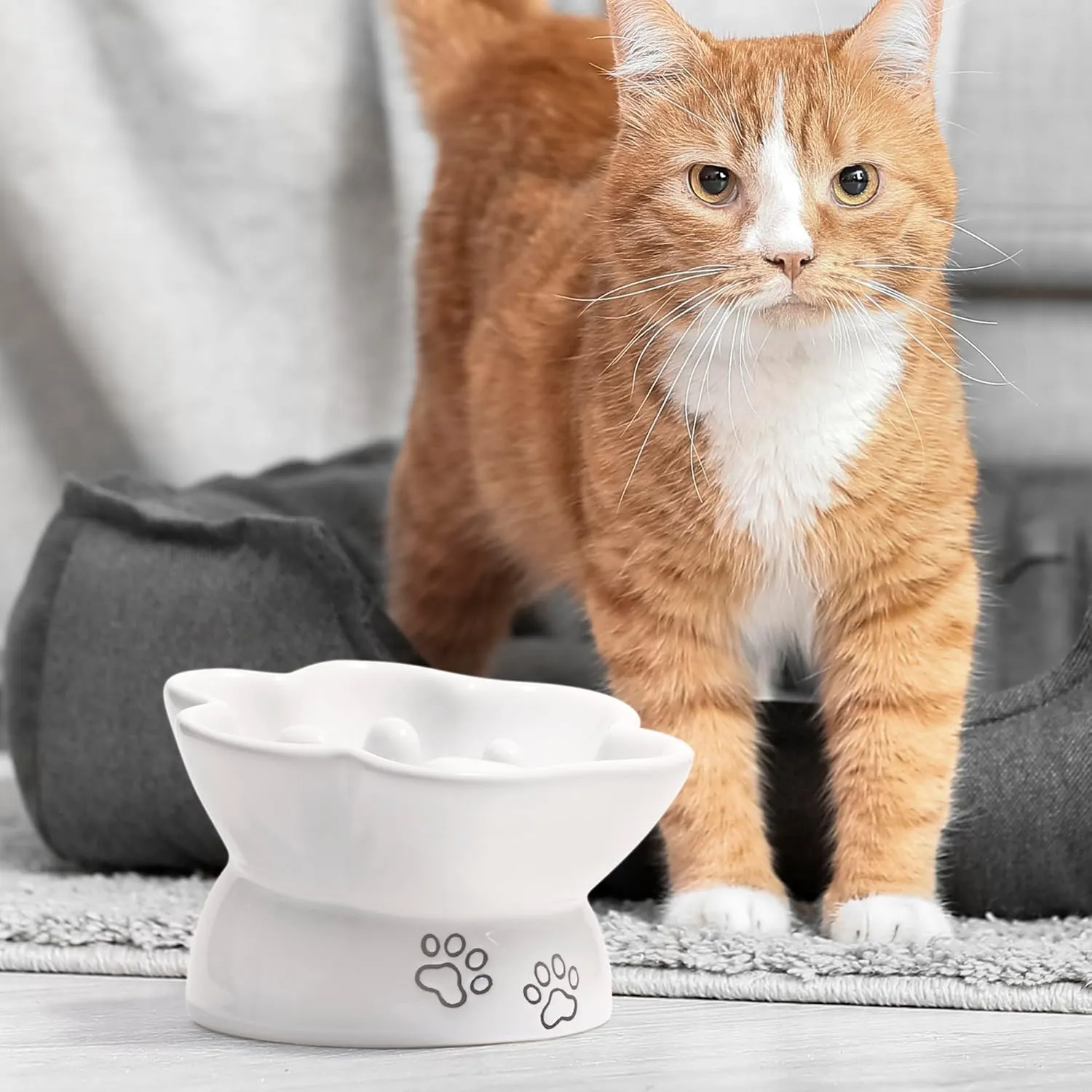 Kaiikais Elevated 5 oz Ceramic Tilted Water and Food Bowl for Small Dogs and Cats