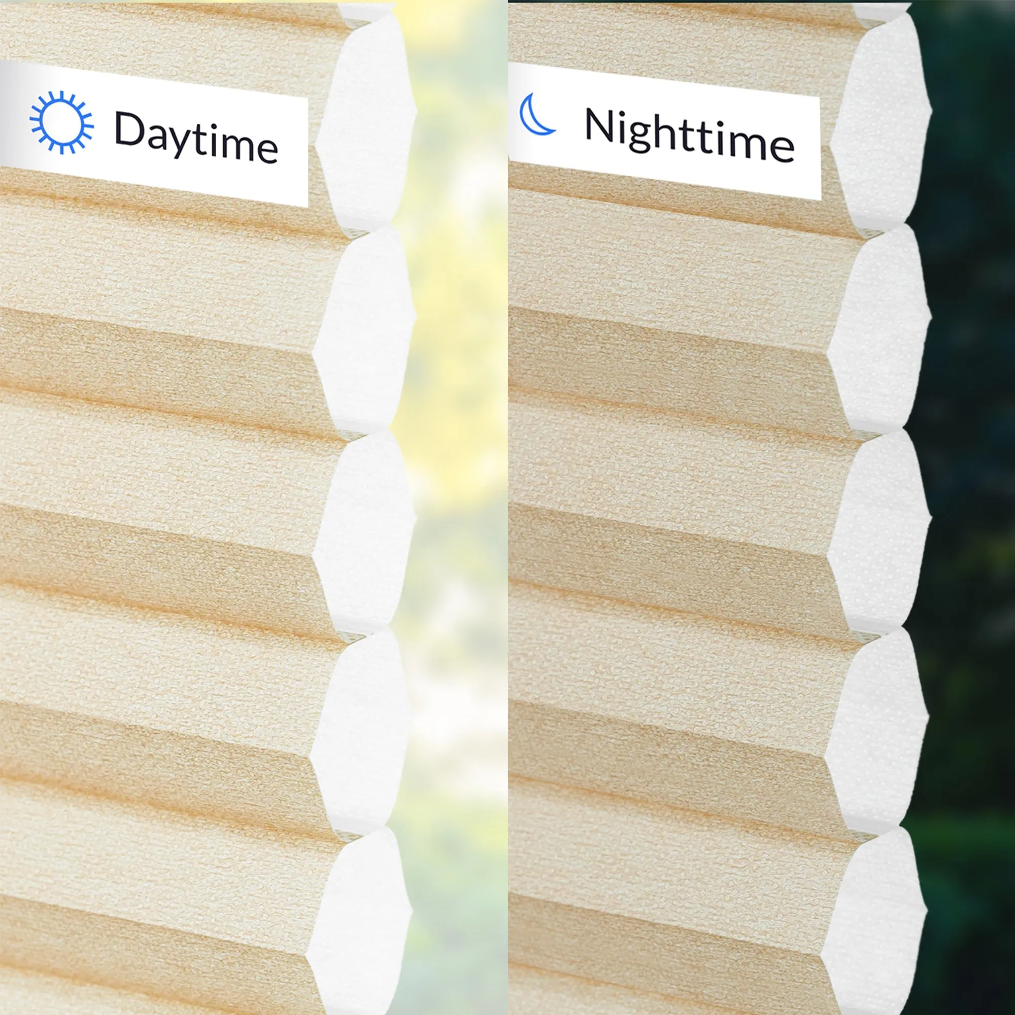 Light Filtering | Custom Insulating Honeycomb | Morning