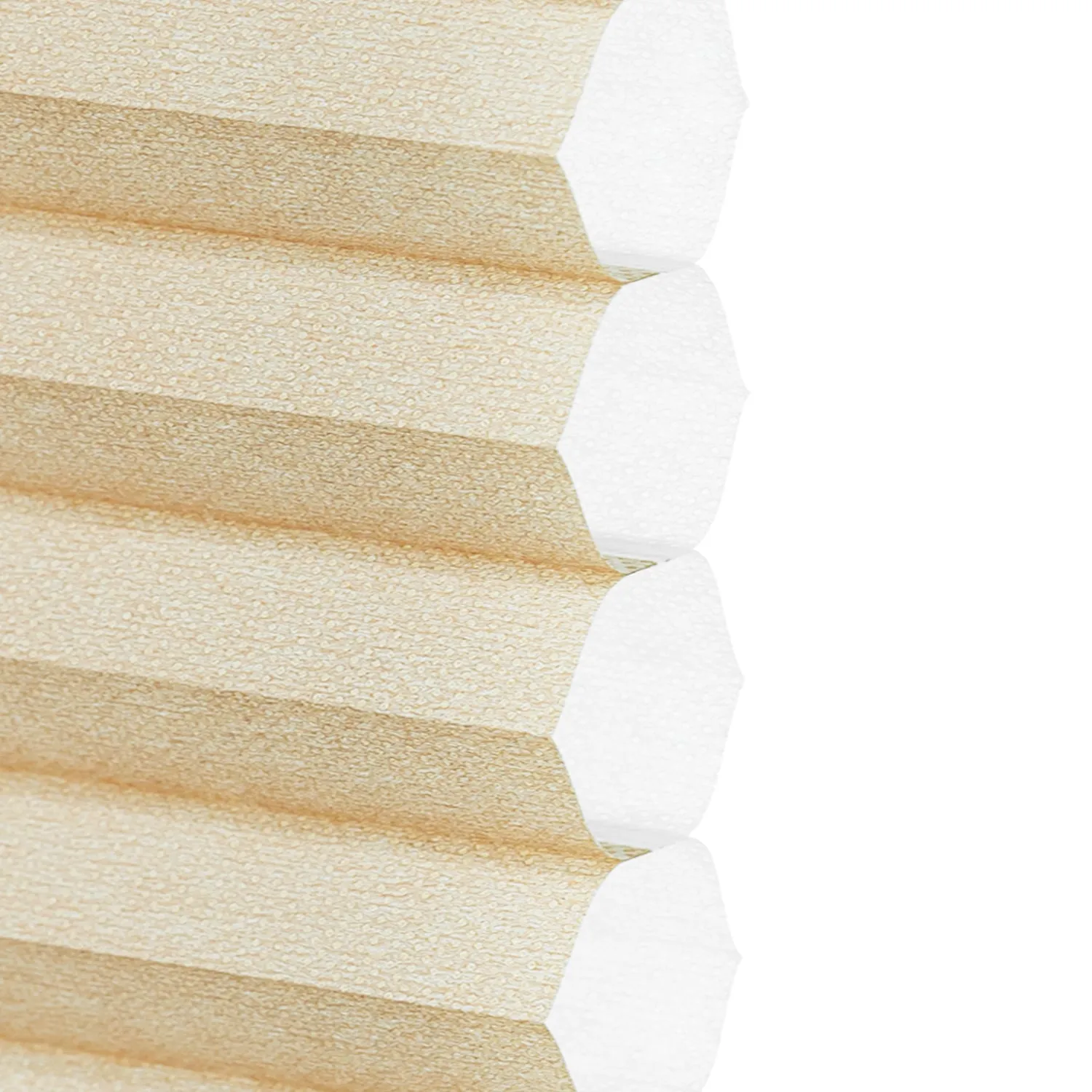 Light Filtering | Custom Insulating Honeycomb | Morning
