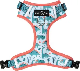 Lucy & Co. !  -  - XS-XL  - ! ()