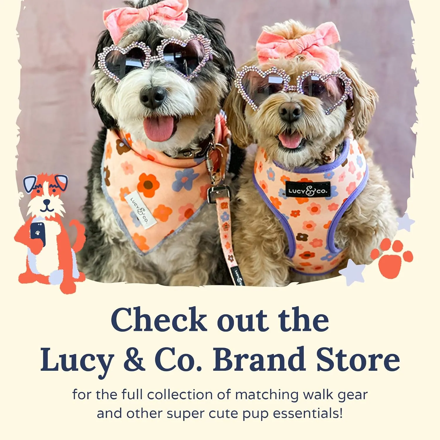 Lucy & Co. !  -  - XS-XL  - ! ()