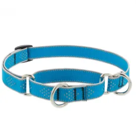 Lupine Dog Collar Martingale 3/4" Wide X 14"-20" Neck Size Blue Diamond
