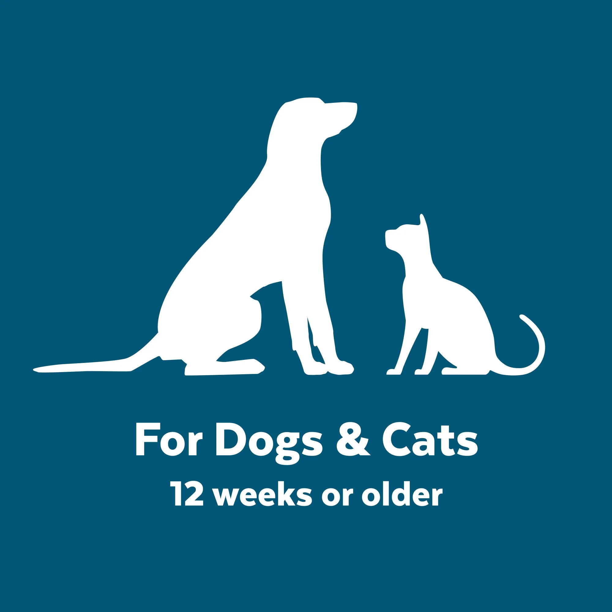 Naturél Promise Clinic Aid Anti-itch Shampoo for Dogs & Cats