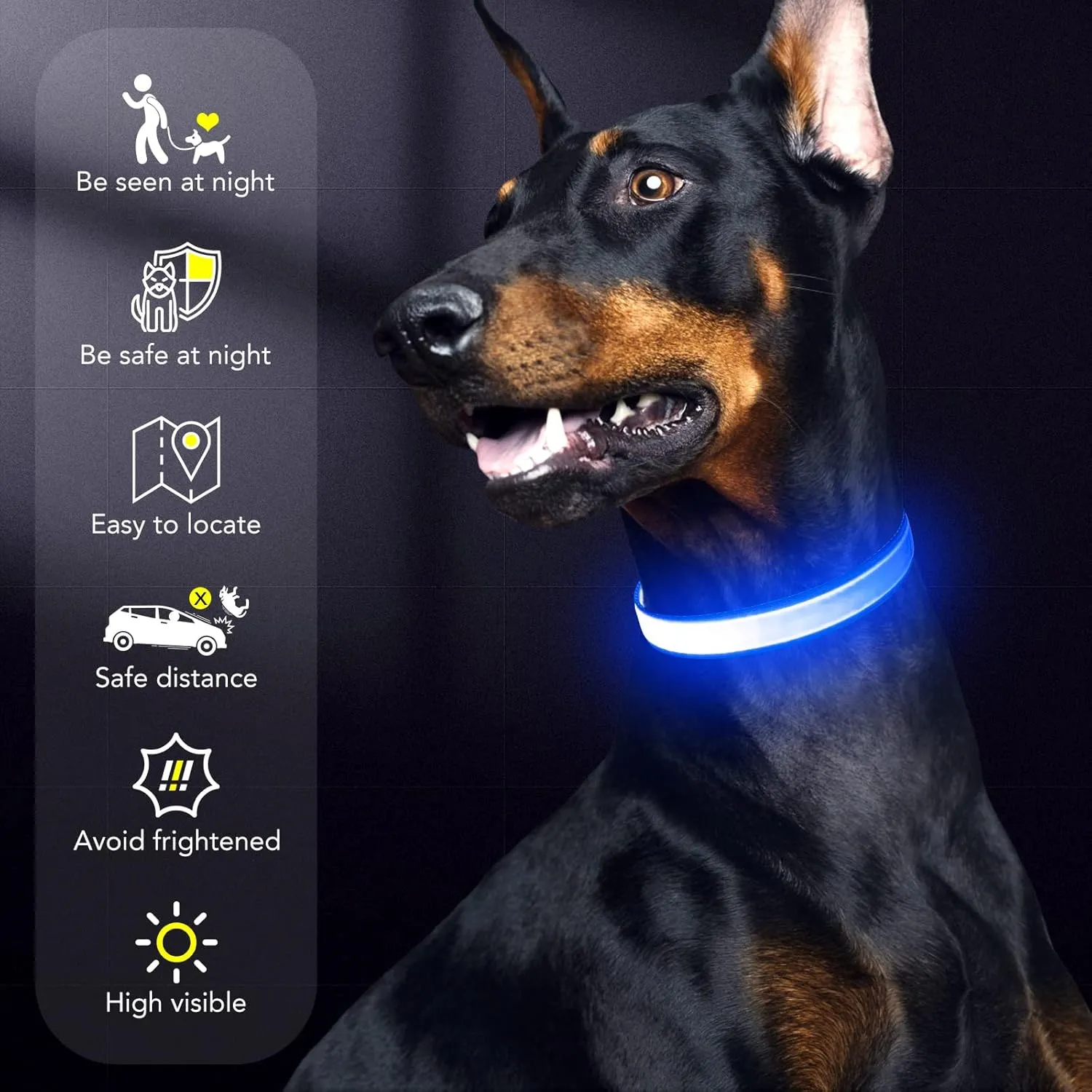 Only Half The Collar Lights LED Dog Collar Light Up Dog Collars USB Rechargeable, Adjustable Size Heavy Duty TPU Nylon Webbing Glow Safety Basic Dog Collars for Large Medium Dogs (M, Royal Blue)