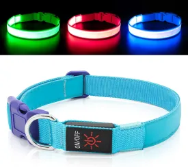 Only Half The Collar Lights LED Dog Collar Light Up Dog Collars USB Rechargeable, Adjustable Size Heavy Duty TPU Nylon Webbing Glow Safety Basic Dog Collars for Large Medium Dogs (M, Royal Blue)
