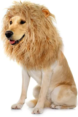 Onmygogo Lion Mane Wig for Dogs with Ears, Funny Pet Costumes for Halloween Christmas (Size M, Yellow)