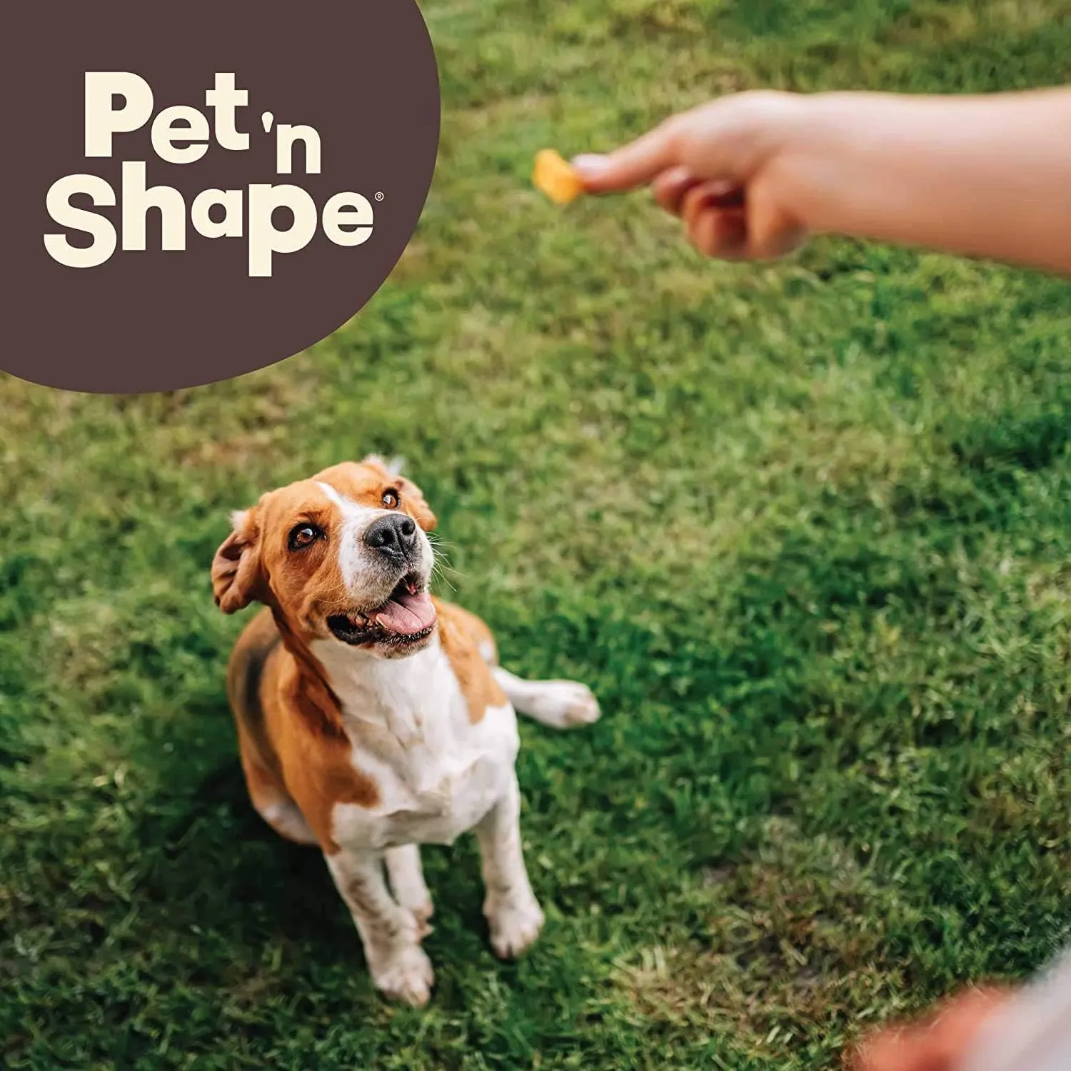 Pet 'n Shape Chik 'n Sweet Potato Stix Dog Treats  Made and Sourced in the USA - 14 Ounce