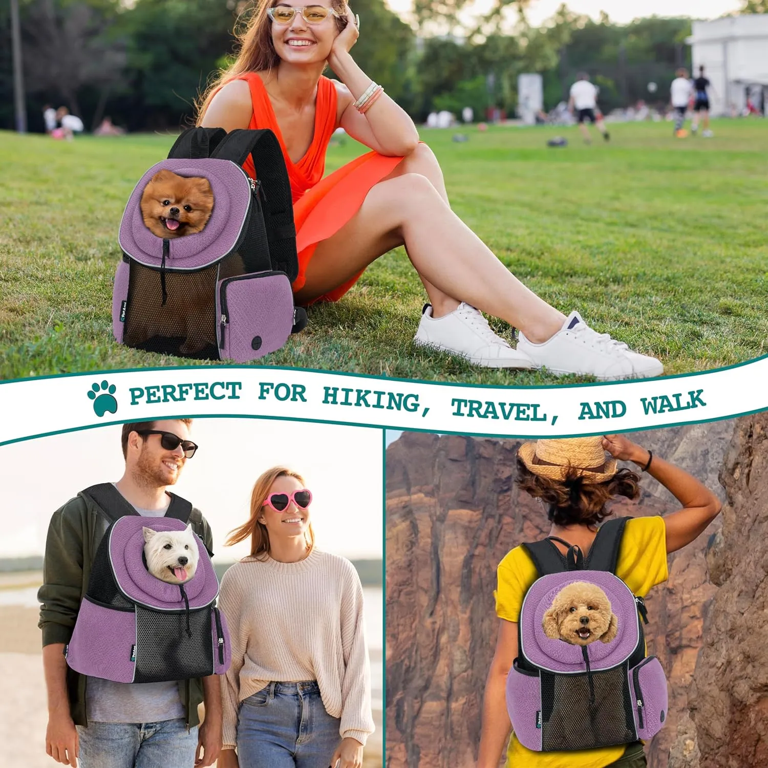 PetAmi Adjustable Cat & Dog Front Chest Carrier Backpack, Ventilated for Hiking & Camping, Max 14 lbs, Purple