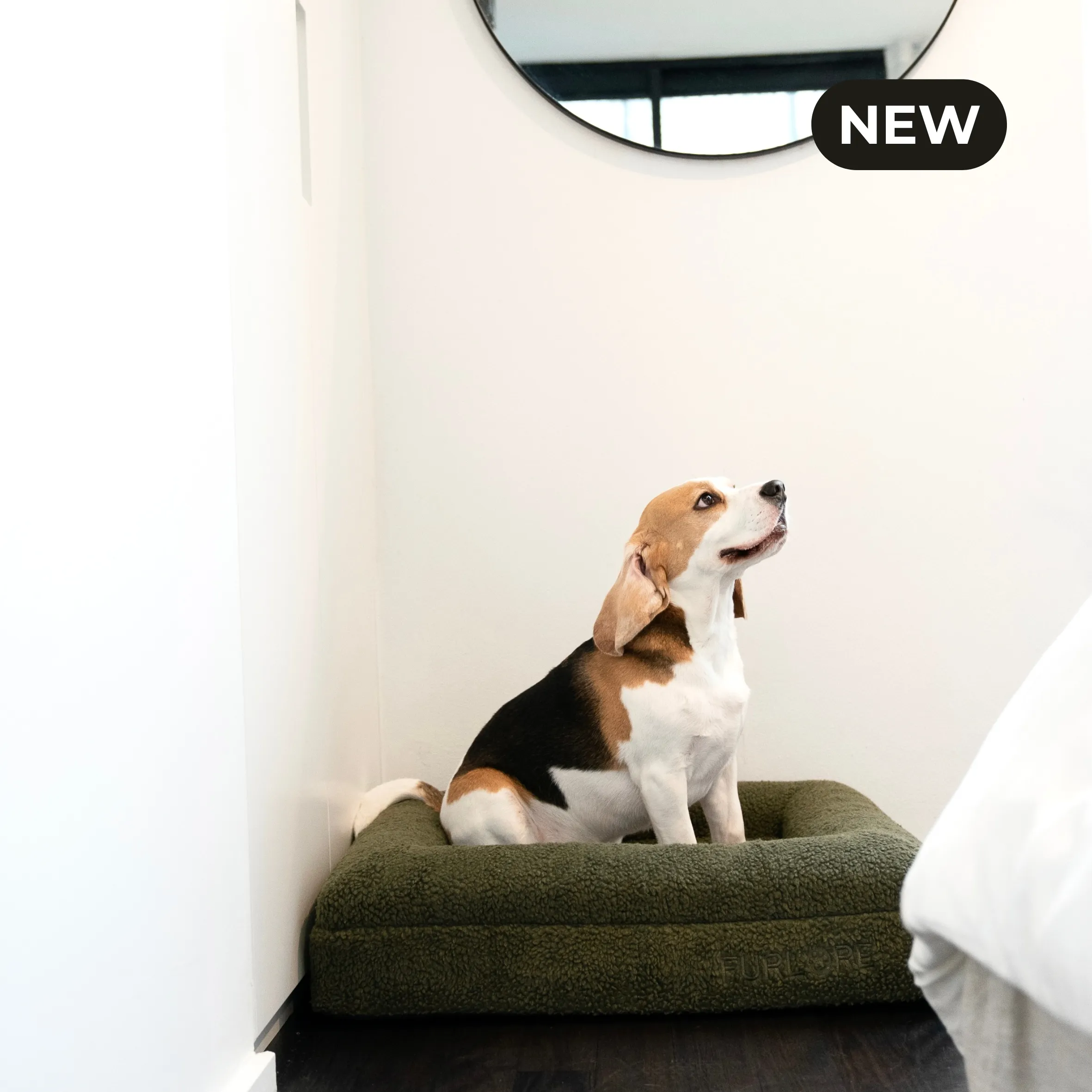Premium Orthopaedic Memory Foam Bed in Deluxe Teddy