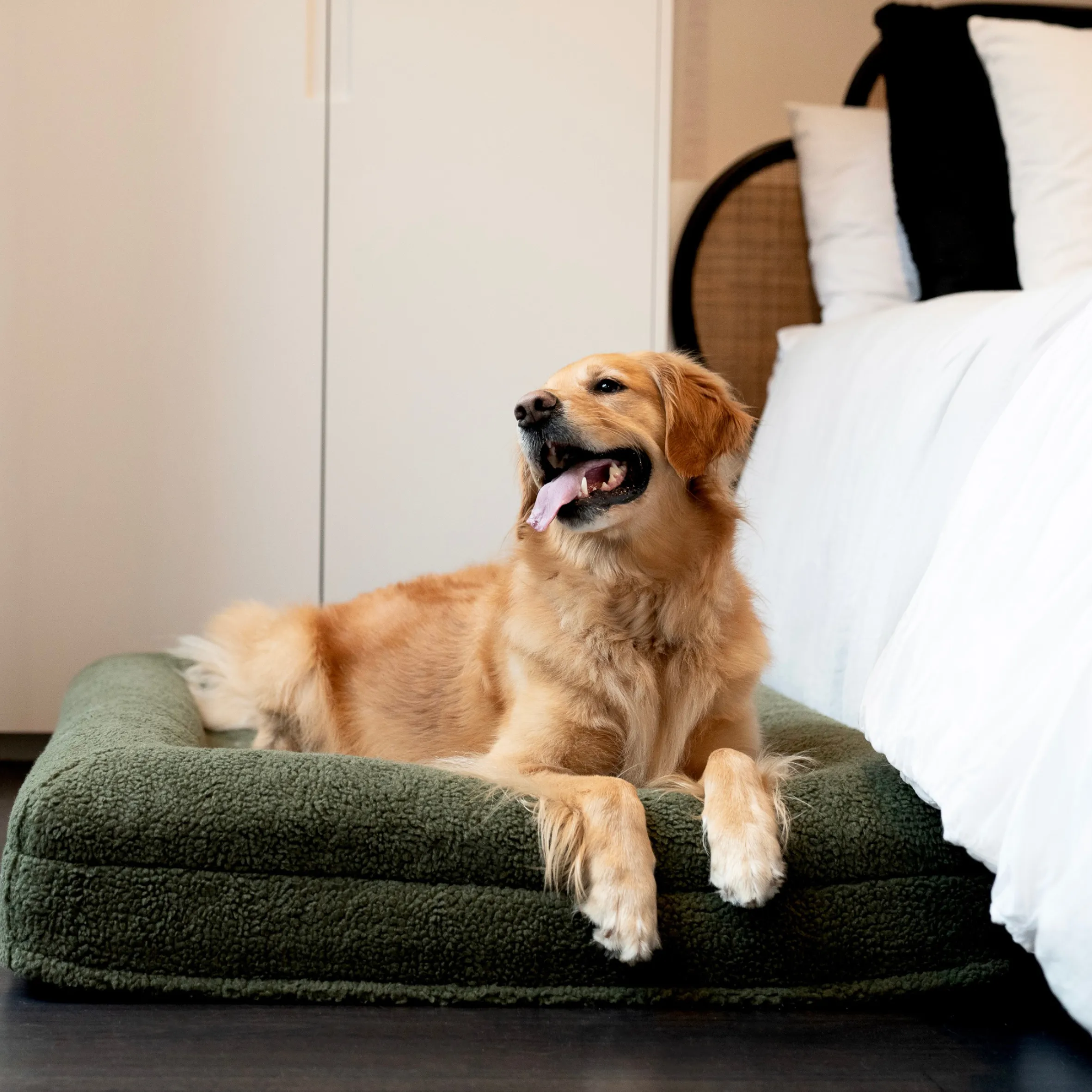 Premium Orthopaedic Memory Foam Bed in Deluxe Teddy