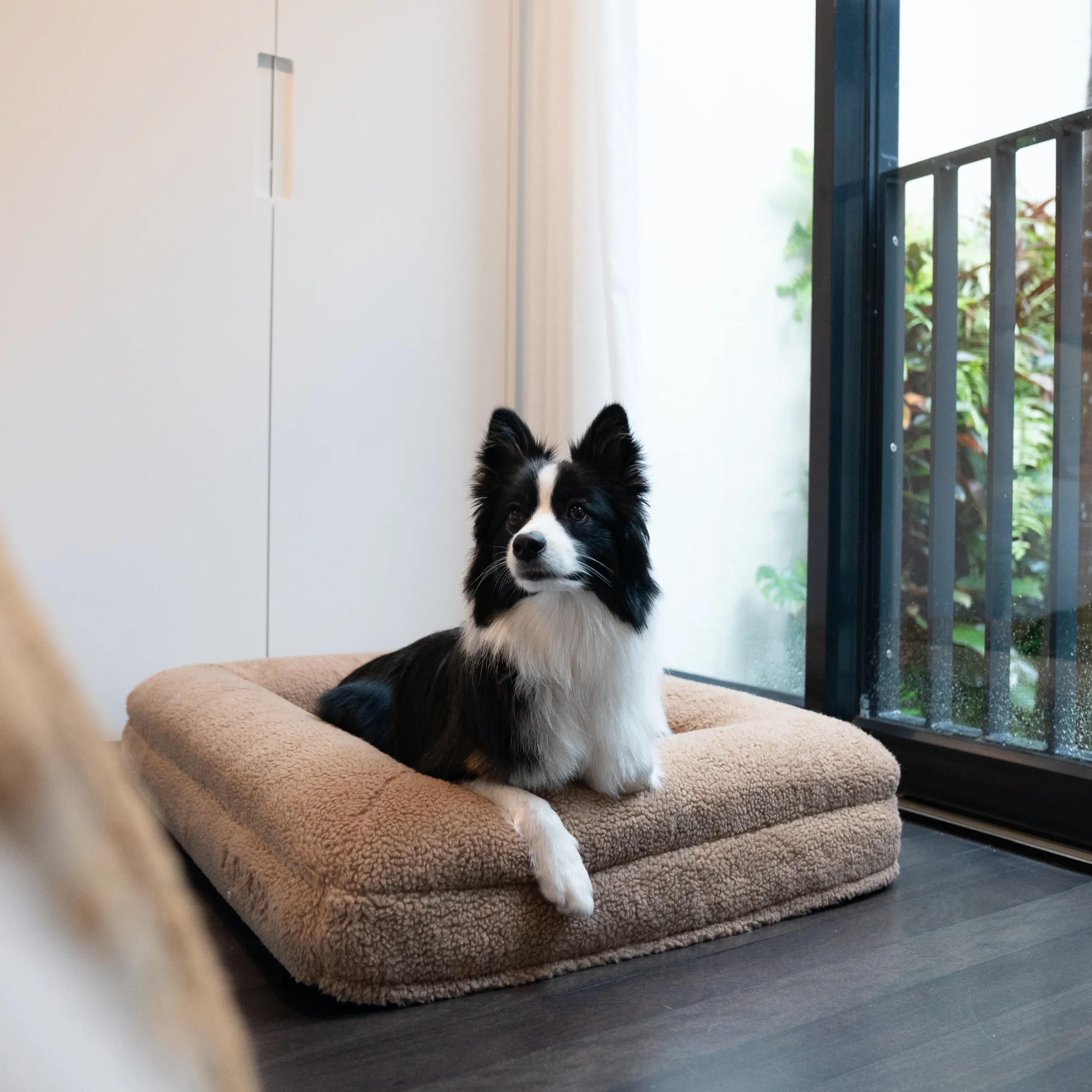 Premium Orthopaedic Memory Foam Bed in Deluxe Teddy