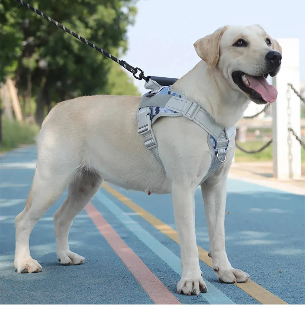 Reflective Dog Harness for Outdoor Training